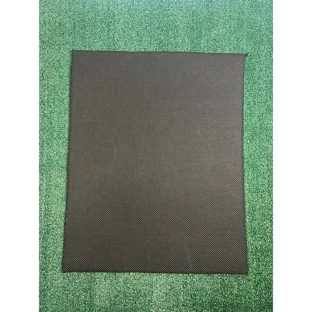 Philadelphia Eagles Super Bowl Champions NFL Football Rug Non Slip Back
